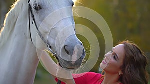 Pretty young woman in red dress caressing graceful white horse at sunset. Harness, Muzzle horse, mane. Woman`s hand