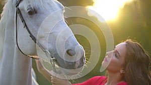 Pretty young woman in red dress caressing graceful white horse at sunset. Harness, Muzzle horse, mane. Woman`s hand