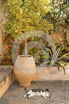 Preveli monastery garden