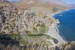 Preveli, palm grove