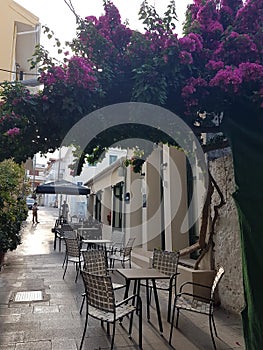 Preveza city in summer afternoon greece alleys restaurants