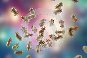 Prevotella bacteria, 3D illustration. Gram-negative anaerobic bacteria, cause anaerobic infections of respiratory tract