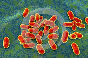 Prevotella bacteria, 3D illustration. Gram-negative anaerobic bacteria, cause anaerobic infections of respiratory tract and other