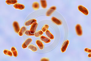 Prevotella bacteria, 3D illustration. Gram-negative anaerobic bacteria, cause anaerobic infections of respiratory tract and other