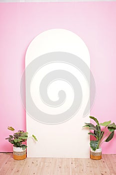 PREWEDDING BACKGROUND SET PINK