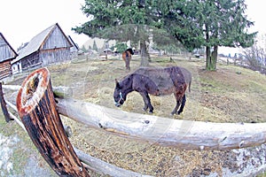 Pribylina - open air museum at region Liptov, Slovakia