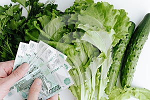 Price for eco vegetables, buying organic food, shopping concept. Human hands counting money