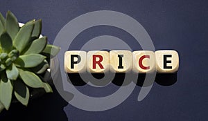 Price symbol. Wooden cubes with word Price. Beautiful deep blue background with succulent plant. Businessman abd Price concept.