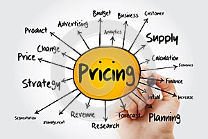 Pricing mind map flowchart with marker, business concept for presentations and reports photo