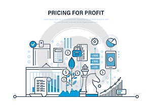 Pricing strategy and pricing for profit, management, marketing, planning, research.