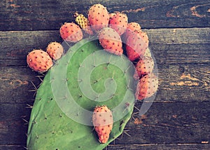 Prickly and delicious. Opuntia cactus with large flat pads and red thorny edible fruits. Cactaceae. Prickly pears fruit