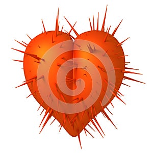 A prickly heart