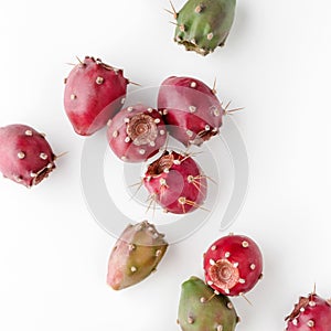 Prickly pear