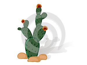 Prickly pear