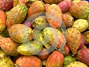 prickly pear-exotic fruit from america photo