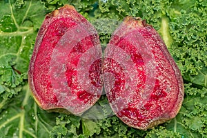 Prickly Pear fruit interior cross section closeup on green kale