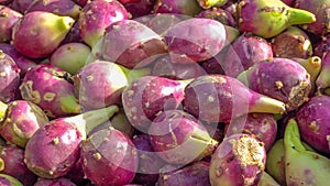 Prickly pear fruit (Opuntia, Fico d\'India) photo