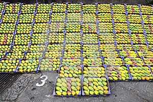 Prickly pear fruit for sale, Melitello in val di Catania, Sicily