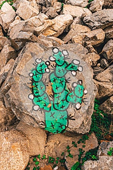 Prickly Pear Nopal Cactus Painted on a stone. photo