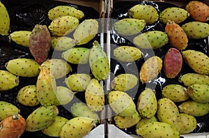 Prickly Pears in box