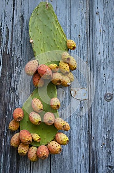 prickly pears - fichi d`india photo