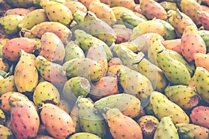 Prickly pears of the variety called bastardoni on the table of a