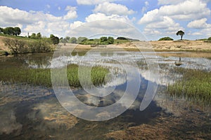 Priddy Pond, Somerset UK