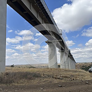 Pride of lions in Kenya