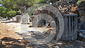 Priene Columns