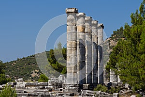 Priene columns