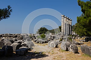 Priene columns