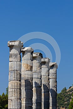 Priene columns