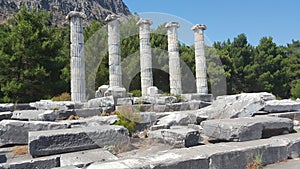 Priene Temple of Athena