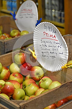 Prima Apples in Wooden Crate photo