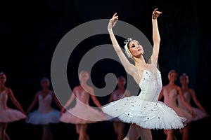 Prima ballerina white swan photo