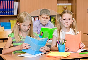 Primary school children in the classroom reading books