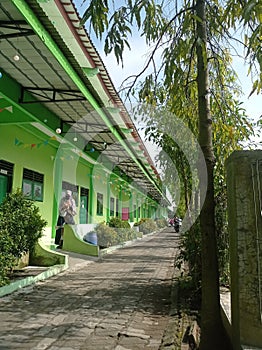 Primary School with green tree