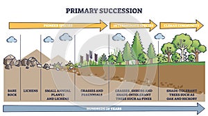 Primary succession and ecological growth process stages outline diagram