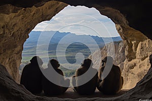 Primordial Habitat Australopithecus photo