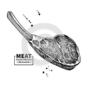 Prime rib vector drawing. Beef, pork or lamb Red meat hand drawn sketch.