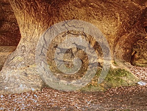 Primitive art painted on rock in sandstone cave