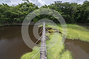 Primitive bridge over jungle swamp
