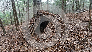 Primitive Bushcraft A frame Survival Shelter in the Blue Ridge Mountains near Asheville, North Carolina. Autumn camp setup i