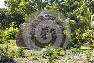 Primitive hut