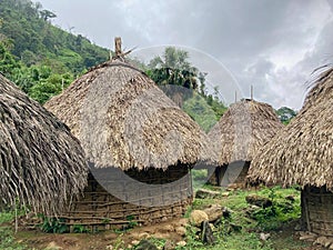 Primitive Jungle Village and Huts