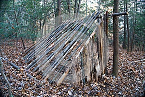 Primitive Lean to Survival Shelter in the forest. Makeshift campsite in the wilderness. Essential bushcraft skill