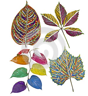 Primitive painted leaves set