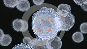Primitive stem entity: primordial cell, formative particle, totipotent structure, nascent element, progenitive unit