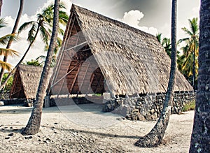 Primitive tropical house