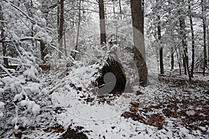 Primitive Winter Tarp Survival Shelter in the Blue Ridge Mountains near Asheville, North Carolina. Bushcraft camp setup in the